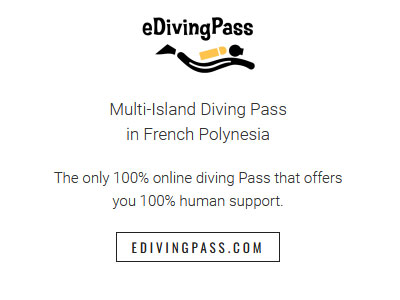 edivingpass.com