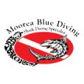 Moorea Blue Diving