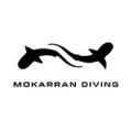 Mokarran Diving