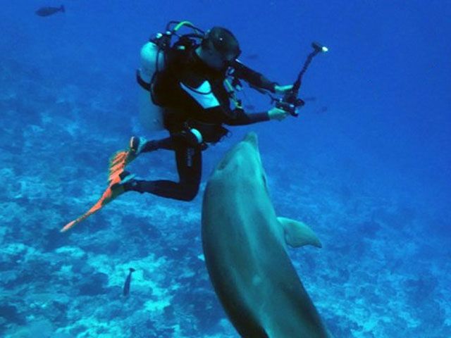 Rangiroa Diving Center