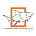 Tahiti Shark Expeditions