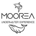 Moorea Underwater Experience